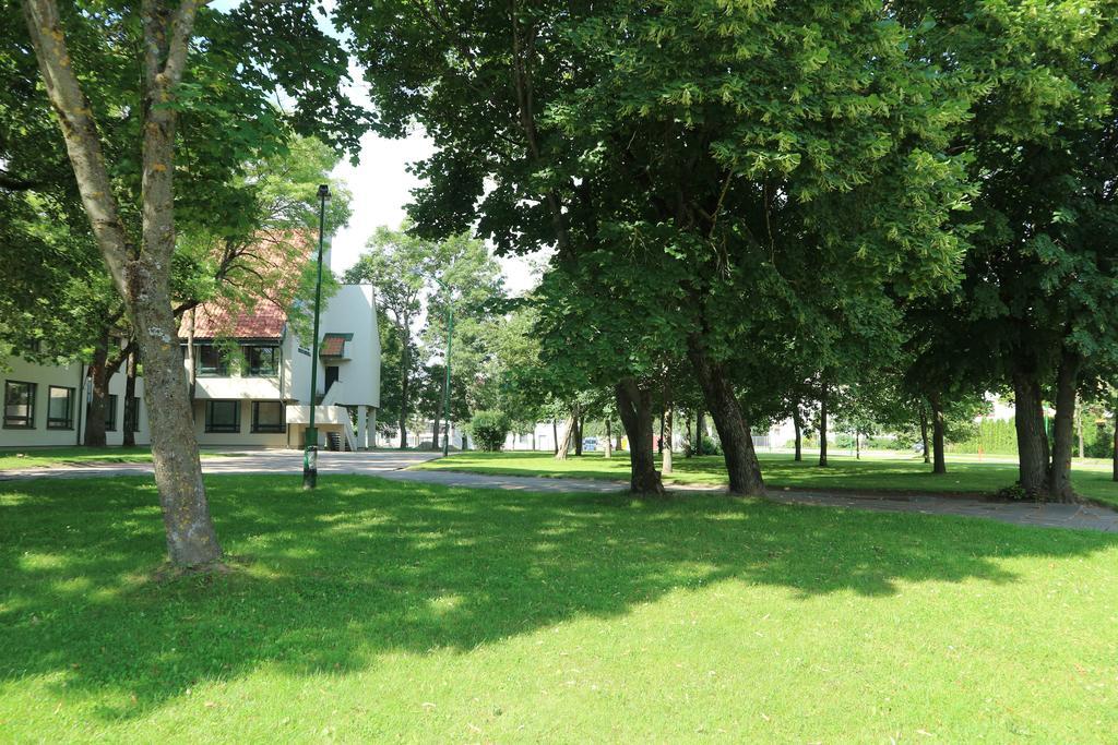 Blue Klaipeda